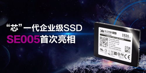 長江存儲(chǔ)發(fā)布新一代企業(yè)級固態(tài)硬盤SE005 1920GB，讀取速度達(dá)530MB/s